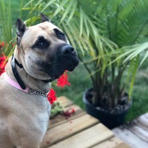 Meet your Posher, Lisa